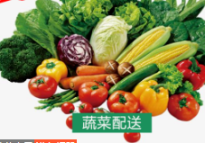 成都蔬菜配送海鲜肉类餐饮配送食堂饭店粮油副食提供鲜肉